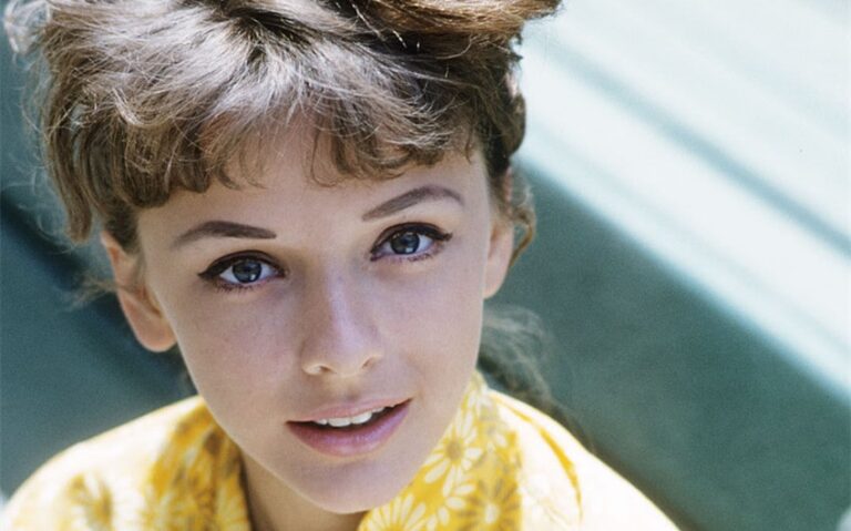 brenda scott net worth