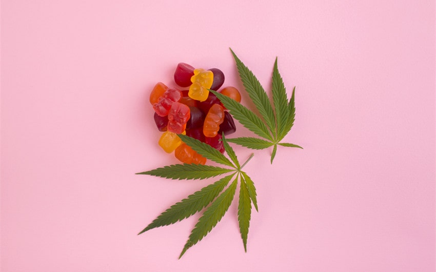 3chi gummies are the top choice