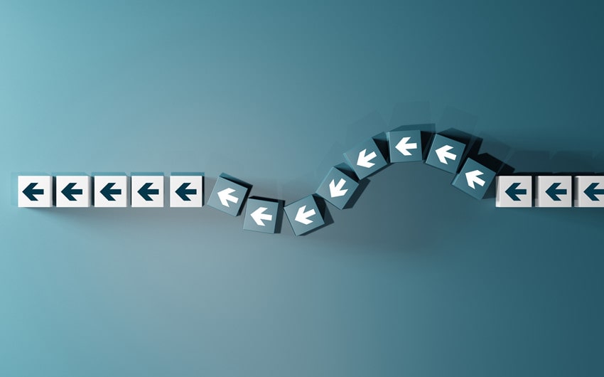 flexibility beats standardization