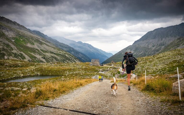 adventures feel better